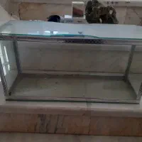 گاز الپیجی پیکان. ۲/۵۰۰ ت|قطعات یدکی و لوازم جانبی|کرمانشاه, |دیوار