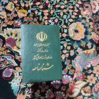 شناسنامه گم کردم به نام ملودی اسمعیل زهی