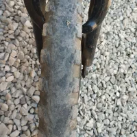 دوچرخه اصل ویوا|دوچرخه، اسکیت، اسکوتر|گنبد کاووس, |دیوار