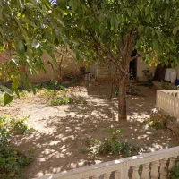 فروش ملک مسکونی ۳۲۰ متری،قروه درجزین .استان همدان|فروش خانه و ویلا|درگزین, |دیوار