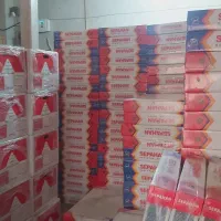 پکیج ایران رادیاتور بوتان مدل بیتا لورچ، آبگرمکن