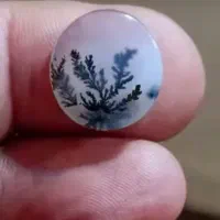 تسبیح عناب ۱۰۱ دانه