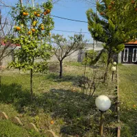 ویلا--- 625 متر زمین 110 متر بنا بر خیابان اصلی|فروش خانه و ویلا|لشت نشا, |دیوار