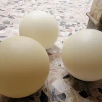 چراغ حبابی  «توپی»