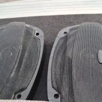 یک جفت پایونر اصلی