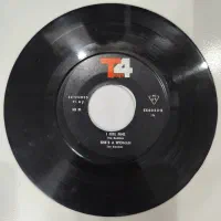 فروش یکجا صفحات گرامافون کمیاب و اصیل|کلکسیون اشیاء عتیقه|مشهد, کوثر|دیوار