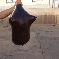 هیز ه