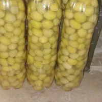 فروش ترشی زیتون تازه وبا کیفیت به صورت کلی وجزئی