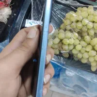 نوت 12S|موبایل|زابل, |دیوار