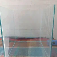 آکواریوم دونه ۳۰۰ تومن ( فوری)