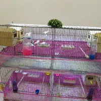 چند جفت فنج مولد تضمینی