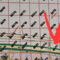 زمین-بالای-اتوبان