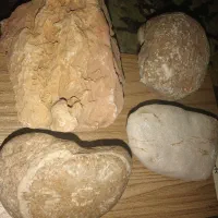 شهاب سنگ طلا و الماس وآهنی وکندریتی باقیمت خوب|کلکسیون و سرگرمی|یاسوج, |دیوار