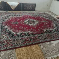 فرش ۱۲ متری|فرش|گرگان, |دیوار