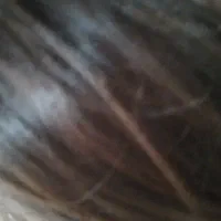 جمع آوری شپش