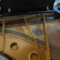 پیانو گرند|پیانو، کیبورد، آکاردئون|شیراز, شهرک مفتح|دیوار