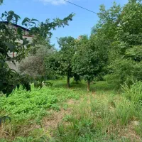 فروش زمین واقع در نیاسته