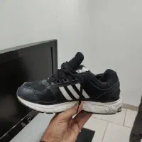 اکومنت اورجینال در حد|کیف، کفش، کمربند|ری, علایین|دیوار