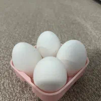 تخم غاز دانه ای ۵۵تومن