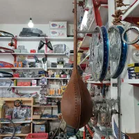 دوتار خراسان|سازهای سنتی|ملک‌آباد, |دیوار