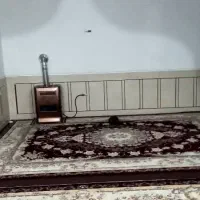 دو عدد قالی در حد نو قیمت مناسب