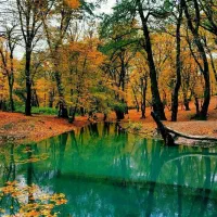 تور یکروزه چشمه لال گالیکش