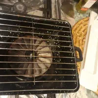 کباب پز پروانه ای صبا برای کباب کردن مواد غذایی|اجاق گاز و لوازم برقی پختوپز|شاهینشهر, حافظ شمالی|دیوار