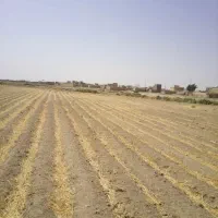 زمین زراعی|فروش زمین و ملک کلنگی|ورامین, ورامین|دیوار