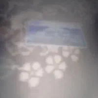 کارت بانکی بانک ملی