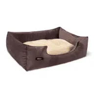 لوازم سگ|لوازم جانبی حیوانات|کرمان, |دیوار