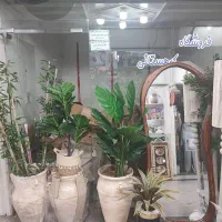 اجاره مغازه واقع در پاساژ پردیس