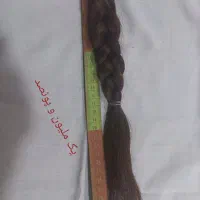 موی طبیعی|آرایشی، بهداشتی، درمانی|رشت, حومه رشت|دیوار
