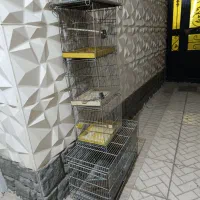 5تا قفس پرنده|لوازم جانبی حیوانات|جاجرود, |دیوار