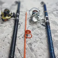 لنسرماهیگیری