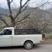 باربند اسدپرت