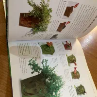 کتاب طراحی و فضای سبز  Weekend garden project|کتاب و مجله آموزشی|تهران, شارق|دیوار