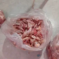 اسکلت مرغ و بوقلمون گوشتی|عمده‌فروشی|دماوند, دماوند|دیوار