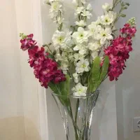 پنج شاخه گل وارداتی