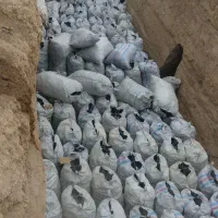 خرید هر نو چوب خشک و خیس با قیمت مناسب