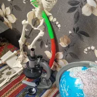 مولار اسکلت و آناتومی بدن میکروسکوپ کره|کلکسیون و سرگرمی|مشهد, دانشگاه فردوسی|دیوار