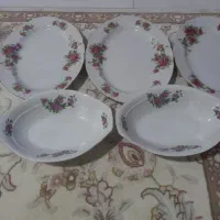 دیس گل سرخی ژاپنی