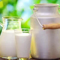 شیر تازه گاو