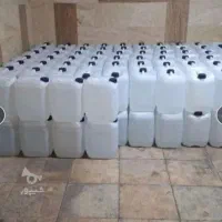 فروش ملاس دامی