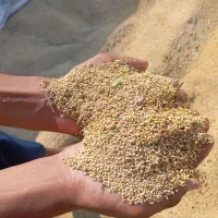 فروش ارزن