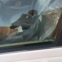 پارس سال 402 بندر لنگه|خودرو سواری و وانت|بندرعباس, |دیوار