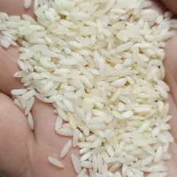 فروش برنج عنبر بو