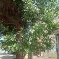 منزل-100متری
