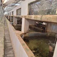 متقاضی نیرو آقا