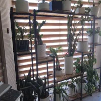 فروش مجموعه گل و گلدان و استند