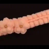هدبند سه بعدی(تل مو)